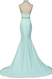 Mint Halter Open Back Long Mermaid Charming Elegant Chiffon Prom Dresses HZ0527