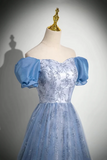 Elegant Blue Embroidery Prom Gown Floor Length Tulle Formal Dress HZ0527
