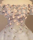 Grey Long Applique Off the Shoulder Tulle A-Line Prom Dress HZ0527