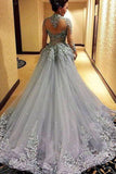 Ball Gown Princess Long Sleeves Tulle Gray Long Formal Prom Dress HZ0527