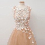 Promfast A-Line Round Neck Tulle Long Prom Dress with Lace Appliques HZ0527