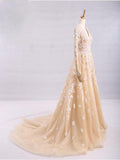 Pretty A-Line V-Neck Long Sleeves Tulle Appliques Floor Length Prom Dresses HZ0527