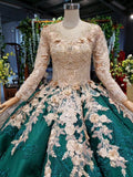 Long Sleeve Ball Gown Wedding Dress Appliques Beading Quinceanera Dresses HZ0527