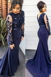 Trumpet/Mermaid Lace Appliques Blue Long Sleeves Plus Size Dresses HZ0527