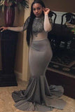 Trumpet/Mermaid Long Sleeves Applique Grey Plus Size Dresses HZ0527