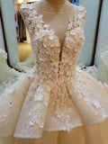 Princess Lace Appliqued Flowers Chapel Train Wedding Dresses,Pretty Bridal Gown HZ0527