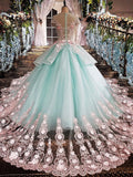 Princess Ball Gown Flower Appliques Prom Dress,Quinceanera Dresses HZ0527