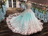 Princess Ball Gown Flower Appliques Prom Dress,Quinceanera Dresses HZ0527