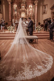 Fairy Tale Worthy One Layer Cathedral Length Lace Wedding Veil+Comb HZ0527