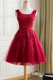 Promfast Cute A Line Red Sweetheart Lace Appliques Sleeveless Lace up Homecoming Dresses HZ0527