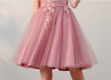 Chic A Line Off The Shoulder Tulle Pink Charming Short Prom Dress Homecoming Dress HZ0527