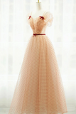 A Line Champagne Tulle Long Prom Dress, Champagne Long Formal Dress HZ0527